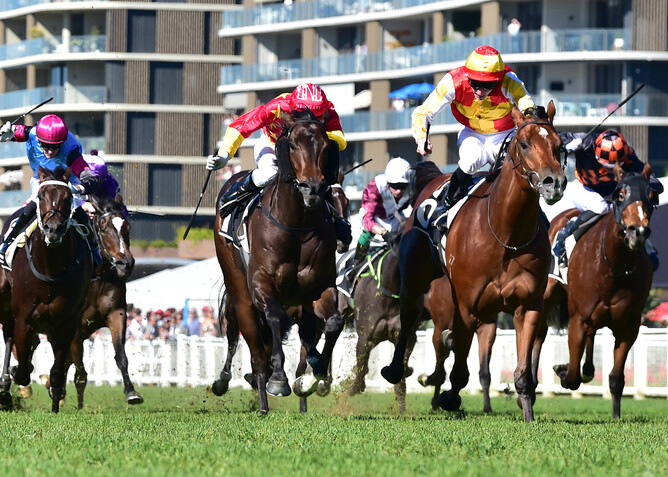 Megastar Heart (gold and red cap) secured a black-type victory in Saturday’s A$160,000 Listed SEN Oxlade Stakes (1300m) at Eagle Farm. - Photo: Grant Peters (Trackside Photography)
