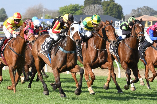House of Cartier (white hood) claims a Group Three win in the Metric Mile at Awapuni. - Photo: Race Images