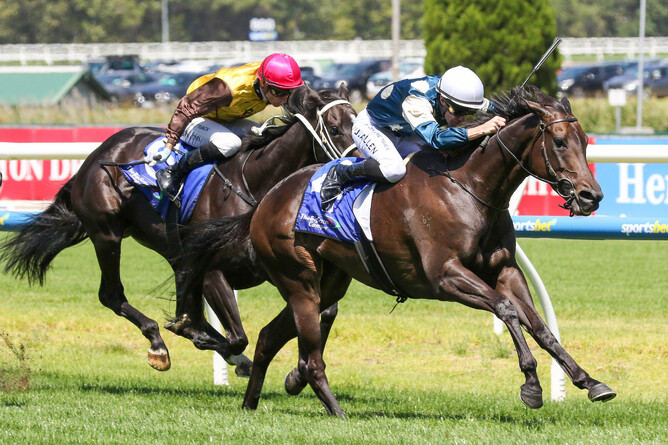 Proisir mare Yonce winning the Gr.3 Carlyon Cup (1600m) at Caulfield - Photo: Bruno Cannatelli
