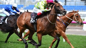 Inside Agent wins in style in Australia