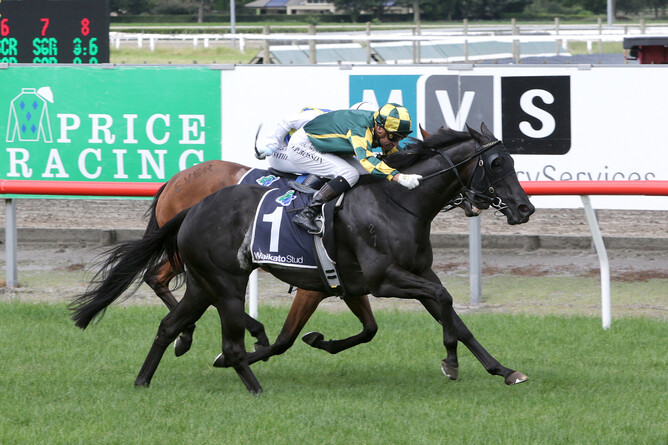 Dragon Queen taking out the NZB Insurance Pearl Series Lisa Chittick Plate - Photo: Race Images
