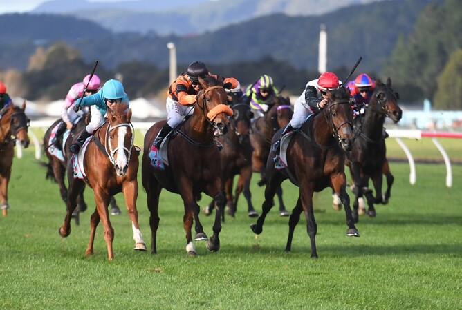 Francee (red cap) winning the Listed Rangitikei Cup (1600m) at Trentham on Saturday.  - Photo: Peter Rubery (Race Images Palmerston North)