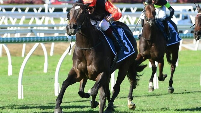 Savabeel filly Tilianam winning at Eagle Farm - Photo: Grant Peters