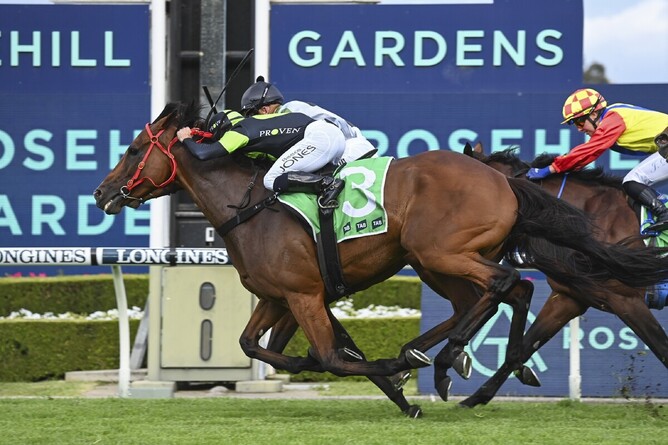 Stockman edges out Little Mix in a driving finish in the Listed Christmas Cup (2400m) at Rosehill on Saturday afternoon. - Photo: bradleyphotos.com.au