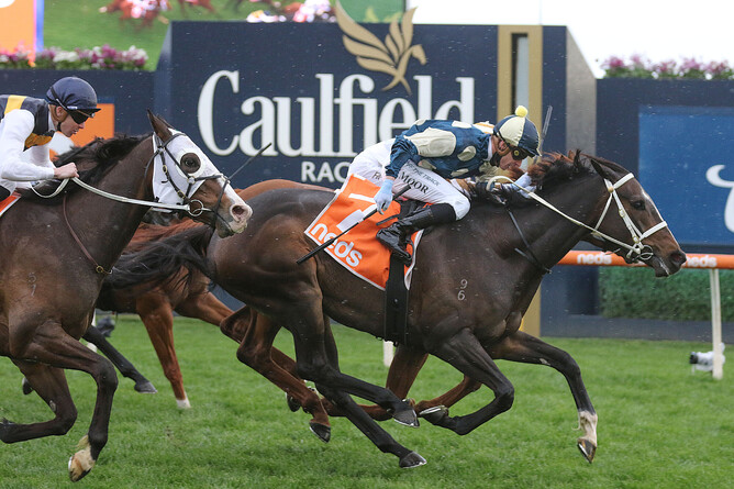 Sierra Sue drives home hard to capture the Gr.1 Sir Rupert Clarke Stakes (1400m) at Caulfield Photo Credit: Bruno Cannatelli