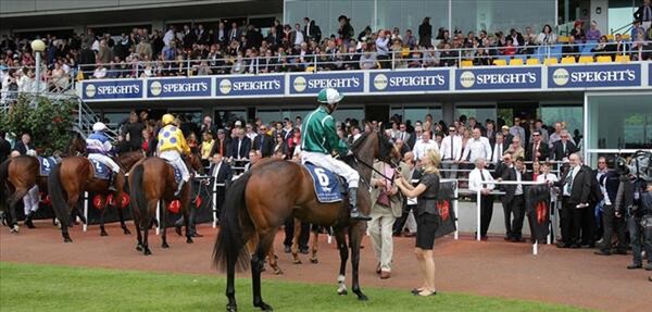 With some sixty to seventy people involved in the ownership, it’s a fair bet that plenty of them are among the large crowd welcoming Dancer’s Tale back to scale after her stunning stakes win at Riccarton on Saturday.  - Photo: NZTM website