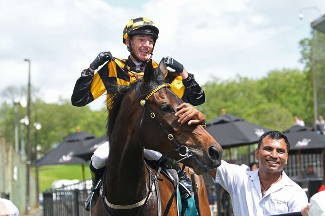 Group One performer Aquacade has been retired.   - Photo: Kenton Wright (Race Images)