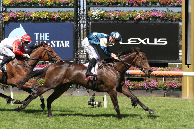 Yonce extends her winning sequence to six victories from six starts Photo Credit: Bruno Cannatelli