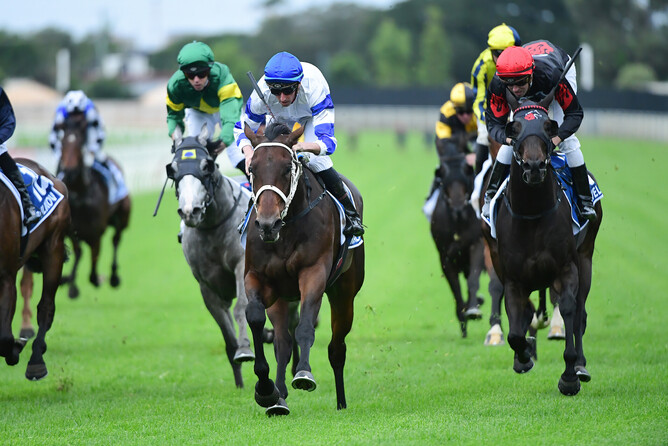 Kovalica and Nash Rawiller close out a victory in the Gr.2 Queensland Guineas (1600m) at Eagle Farm - Photo: Grant Peters Photography