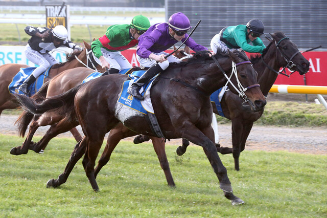 Platinum Command takes the G3 Winner Edge Presentations Winter Cup