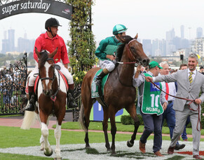 Australian Cup victory a sweet result for Carter family