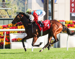 Purton rates Ka Ying Rising in a league of his own