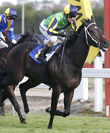 Hammer Down wins the Breeders' Stakes