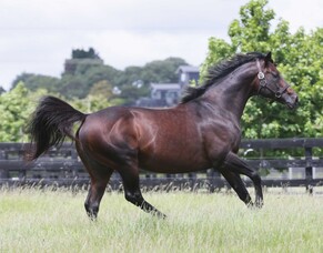 Chitty keen on a winning weekend