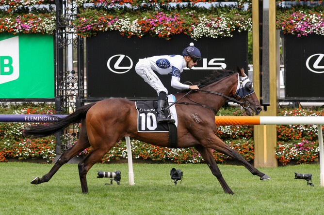 Recent Kiwi import Goldman winning the Listed Roy Higgins (2600m) at Flemington on Saturday - Photo: Bruno Cannatelli