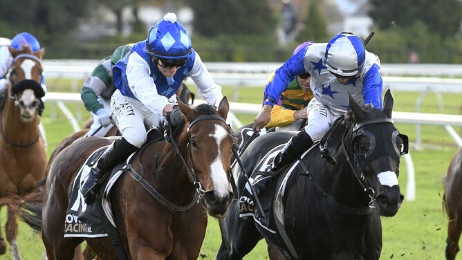 Nigella Lane winning the Listed Rotorua Cup (2200m) at Arawa Park on Saturday - Photo: Kenton Wright (Race Images)