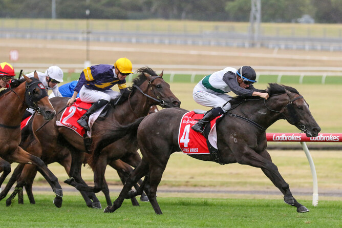 Little Brose winning the Gr.1 Blue Diamond Stakes (1200m) under Michael Dee - Photo: Bruno Cannatelli