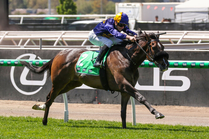 Opening Address (NZ), by So You Think, claimed the TAB Trophy at Flemington with jockey James McDonald. - Photo: Bruno Cannatelli