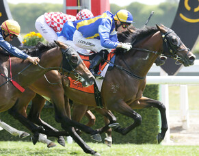 Zabeel&rsquo;s son to stand at Long Acres