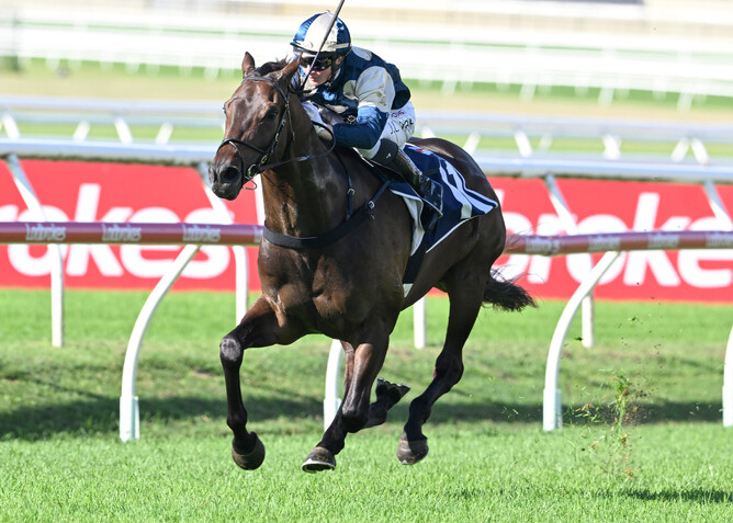 Gringotts broke through at black-type level in the Listed Members’ Handicap at Doomben on Saturday.  - Photo: Grant Peters, Trackside Photography