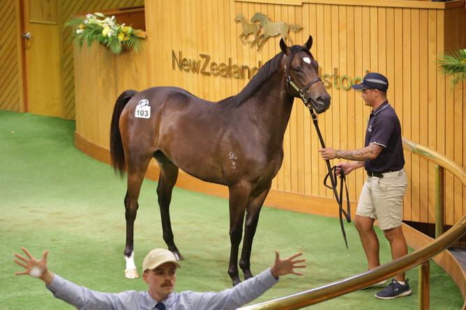 Lot 103, a colt by Wootton Bassett out of Matagouri, was sold to Mick Price Racing for $600,000.   - Photo: Kirsten Ledington