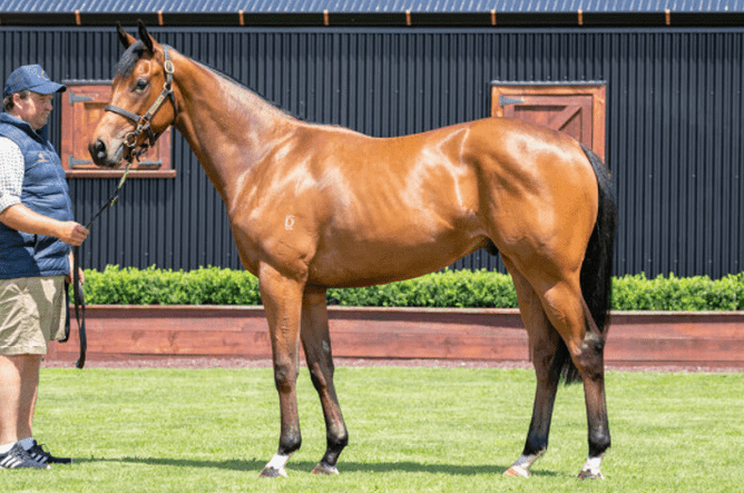 Arigato took out the Listed Perak Charity Cup. - Photo: Supplied