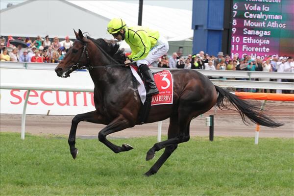 Jakkalberry will stand his second season at Novara Park