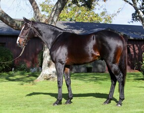 THE EMINENT FILLIES PEARL SERIES BONUS