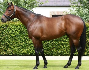 Scholarship Blog: Ryan Stacey