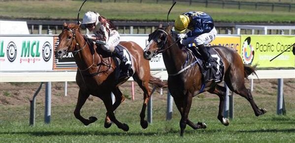 Our Famous Eve (inner) digs in close to beat Viadana to the line - Photo NZTM website