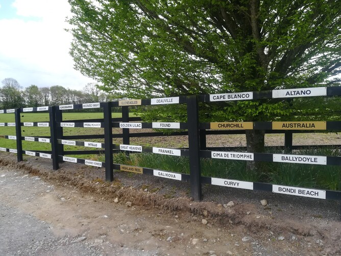 Group 1 fence Coolmore Ireland
