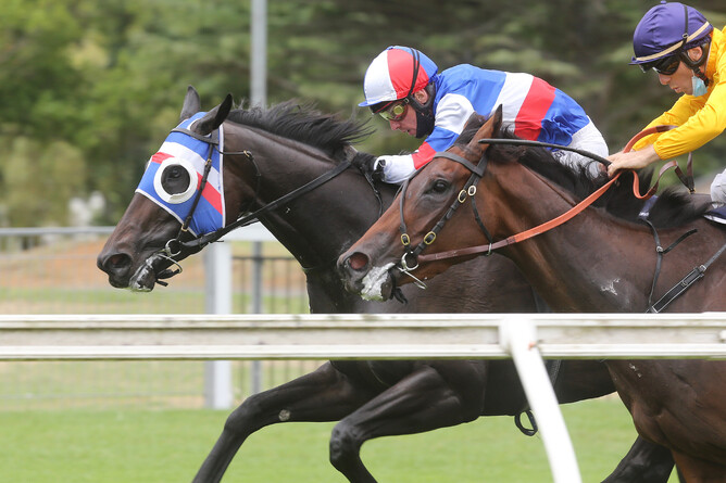 Self Obsession gets the better of Glory Bound in the Gr.2 David & Karyn Ellis Fillies Classic (2000m) at Te Rapa Photo Credit: Trish Dunell