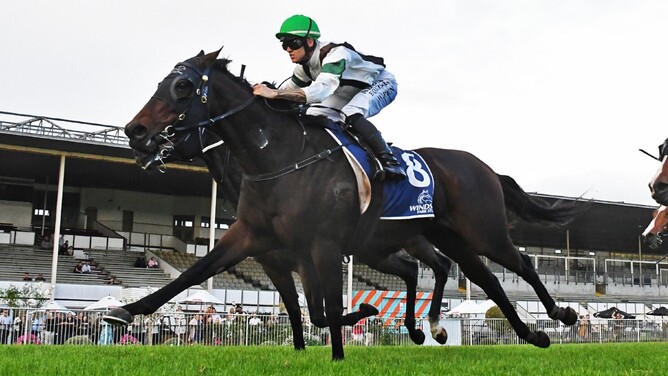 Val Di Zoldo winning the Gr.2 Travis Stakes (2000m) at Te Rapa on Saturday.  - Photo: Kenton Wright (Race Images)