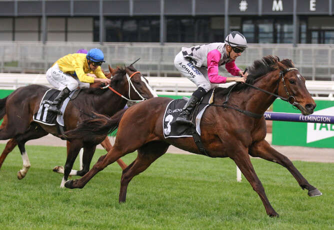 Surprise Baby winning the Gr.3 Bart Cummings (2500m) at Flemington - Bruno Cannatelli