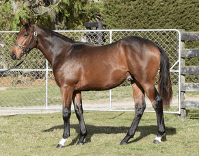 Tapper has clear view on future