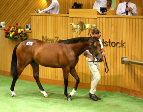 Entries Open for Karaka 2021