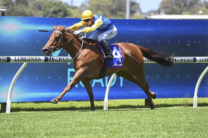 Whanga Wonder in full flight at Rosehill - Photo: Bradleyphotos.com.au