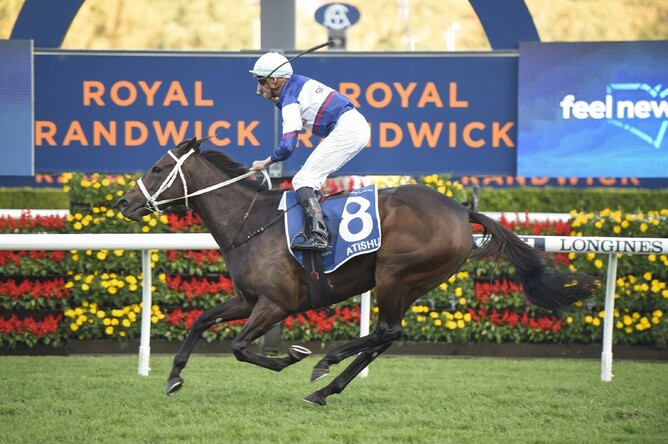 Atishu gets a well-deserved Group One victory in the Gr.1 Queen Of The Turf Stakes (1600m) at Randwick  - Photo: bradleyphotos.com.au