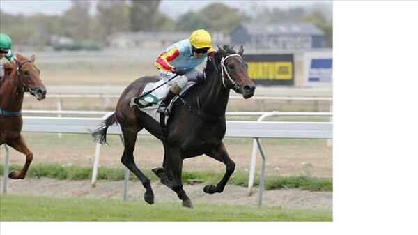 O'Marilyn wins the Group One Manawatu Sires'Produce - Photo NZTM website