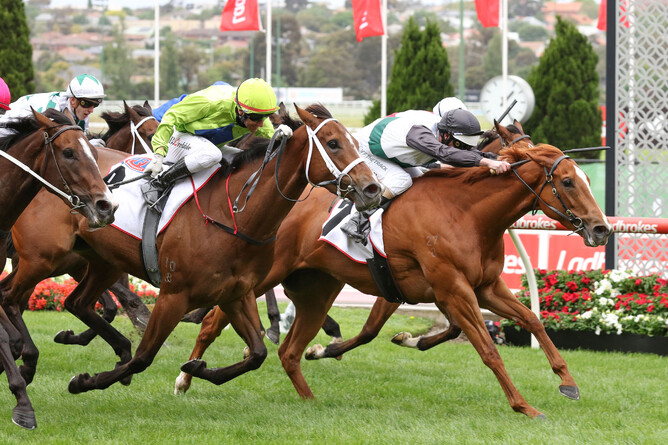 Dream Queen (black cap) stretches her neck out to win the Listed William Crockett Stakes. - Photo: Bruno Cannatelli