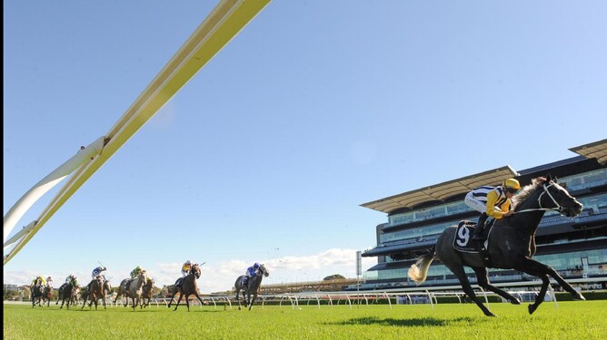 Nobu on his way to heading Reliable Man-sired trifecta at Randwick - AAP