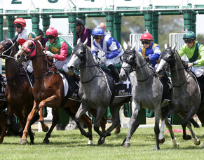 NZTR update: 20.4.2020