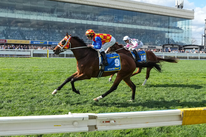 Autumn Boy winning the Gr.1 Caulfield Guineas (1600m) at Caulfield on Saturday.  - Photo: George Sal - Racing Photos