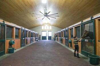 The Winstar stallion barn