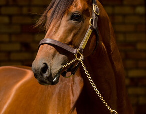 First trial winner for Turn Me Loose