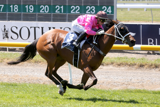 Heni - pic. Race Images