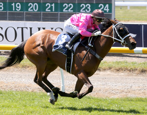 William Duncan&#039;s win is an inspiration to new breeders