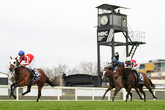 Grand Impact winning the Gr.3 Blue Sapphire Stakes (1200m) at Caulfield on Wednesday. - Photo:  Bruno Cannatelli