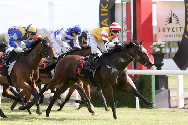 Stolen Dance winning the Cal Isuzu Stakes at Te Rapa 12/12/15 - Photo courtesy of Trish Dunell