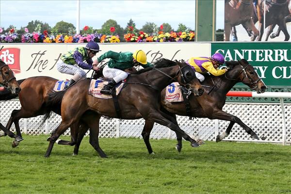 Addictive Habit (inside) wins the Couplands Mile 12-11-14. - Photo courtesy of Race Images South